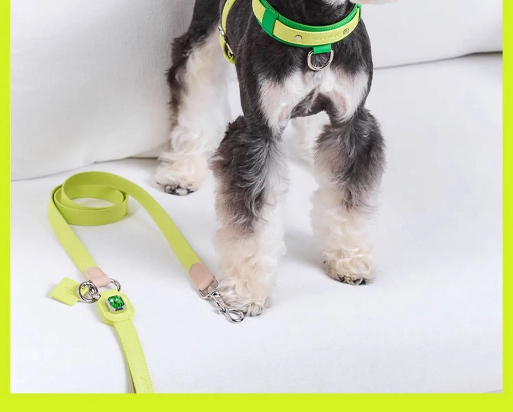 Pink Bowtie Harness Dog Cat Collar Leash Pet Product Soft Fluffy Bow Accessories Poodle Schnauzer Papillon Cats Collars