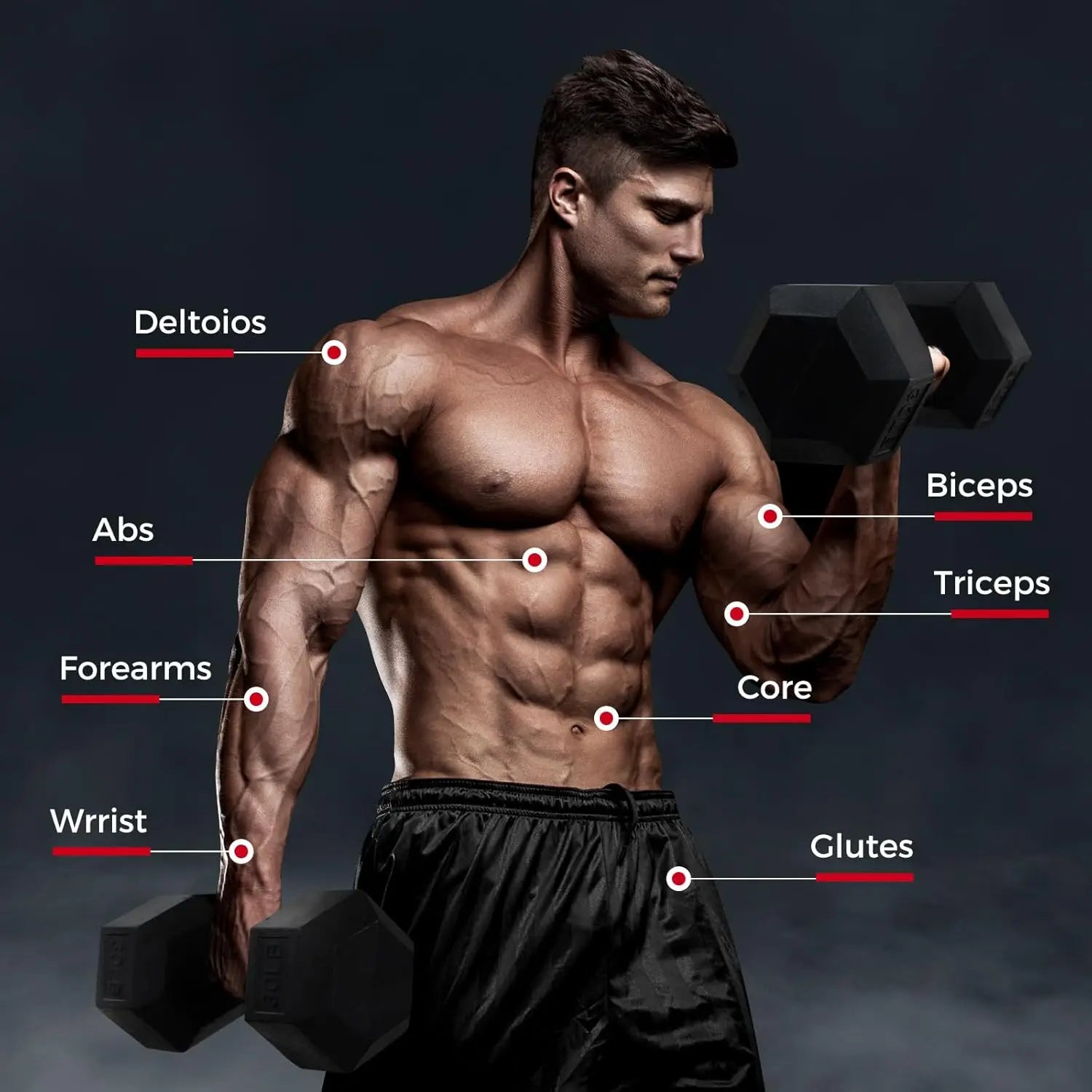 250LB 300LB RubberDumbbell Sets with Weights Rack Multiple Color Choices Available Great Gym Equipment for Home Strength Trainin