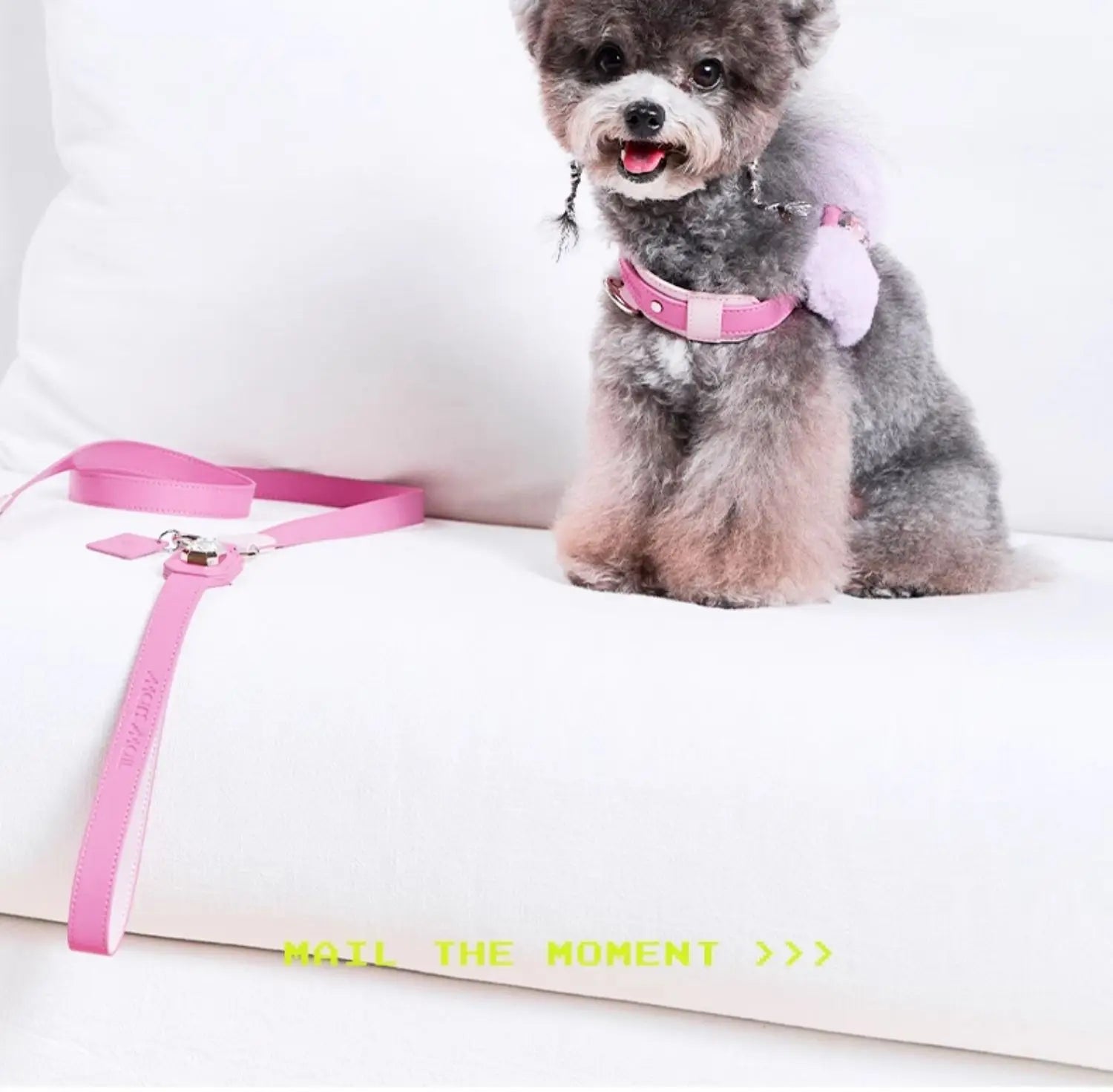 Pink Bowtie Harness Dog Cat Collar Leash Pet Product Soft Fluffy Bow Accessories Poodle Schnauzer Papillon Cats Collars