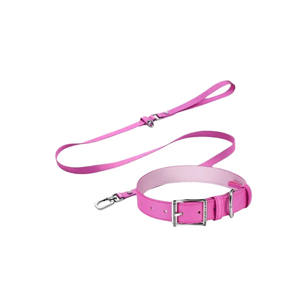 Pink Dog Collar Leash Cat Collar Simple Classical Design Fashion 5 Colors Belt Pet Product Dog Cat Collar lead Necklace