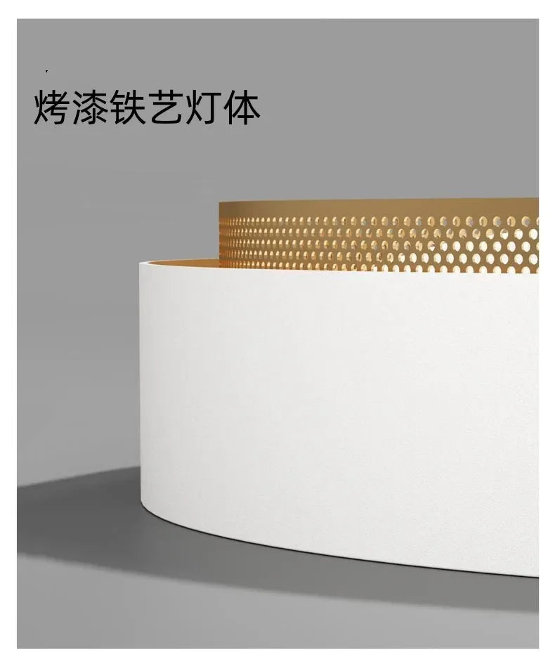 2025 New Nordic LED Ceiling Light Living Room Bedroom Black Metal Grid Ceiling Light Modern Creative Circular Room Lighting