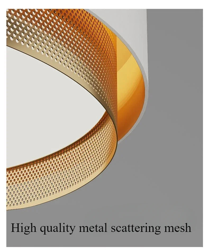 2025 New Nordic LED Ceiling Light Living Room Bedroom Black Metal Grid Ceiling Light Modern Creative Circular Room Lighting