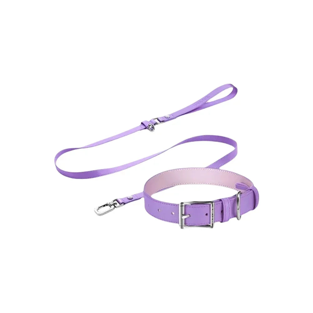 Pink Dog Collar Leash Cat Collar Simple Classical Design Fashion 5 Colors Belt Pet Product Dog Cat Collar lead Necklace