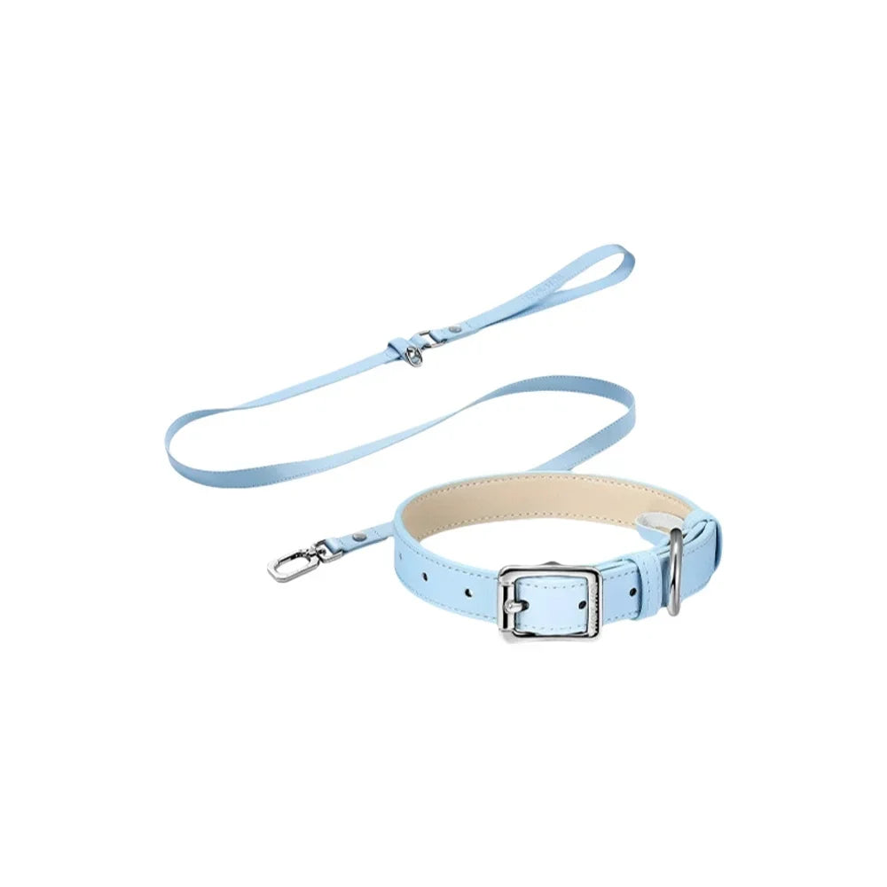 Pink Dog Collar Leash Cat Collar Simple Classical Design Fashion 5 Colors Belt Pet Product Dog Cat Collar lead Necklace