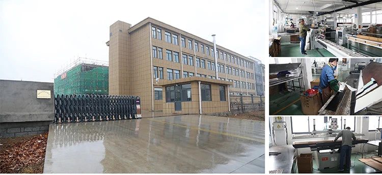 Newbility High Quality Jigging Reel 8+1BB 5.1:1 Fishing Reels Trolling Fishing Reel