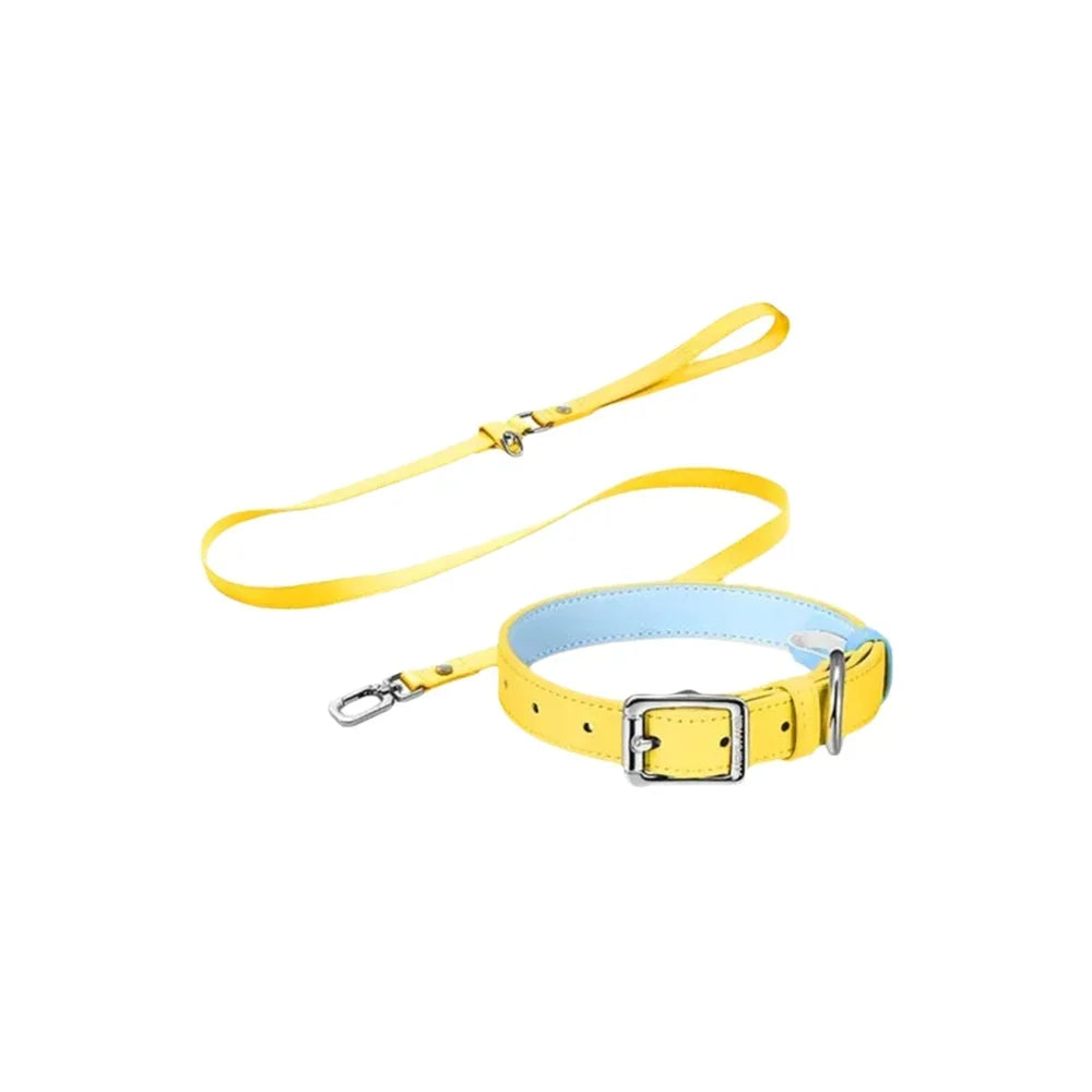 Pink Dog Collar Leash Cat Collar Simple Classical Design Fashion 5 Colors Belt Pet Product Dog Cat Collar lead Necklace