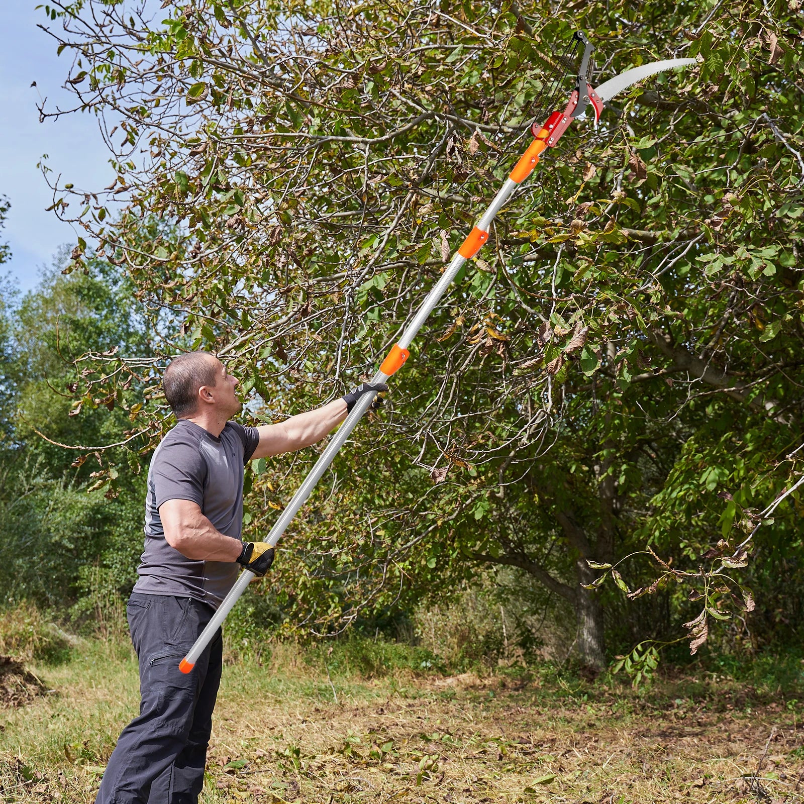 Garden Hand Pruning Saw Tools, Extendable Poles From 7.3ft Up To 24.1ft, All-in-one Pruning Kit, Versatile Application