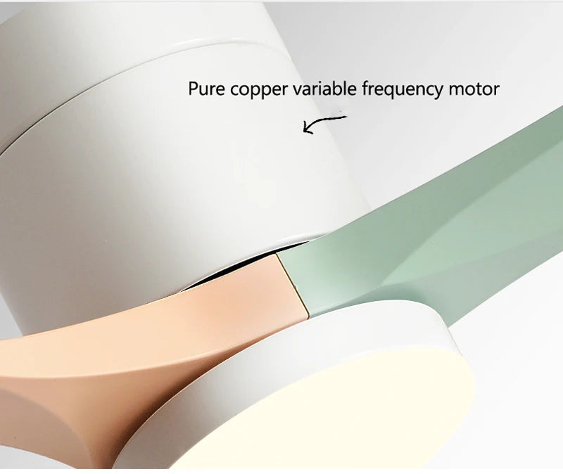 38/56Inch Low Floor Ceiling Fan Light Modern Black ABS Blade DC Remote Control Led Fan Lights Restaurant The bedroom 110V 220V