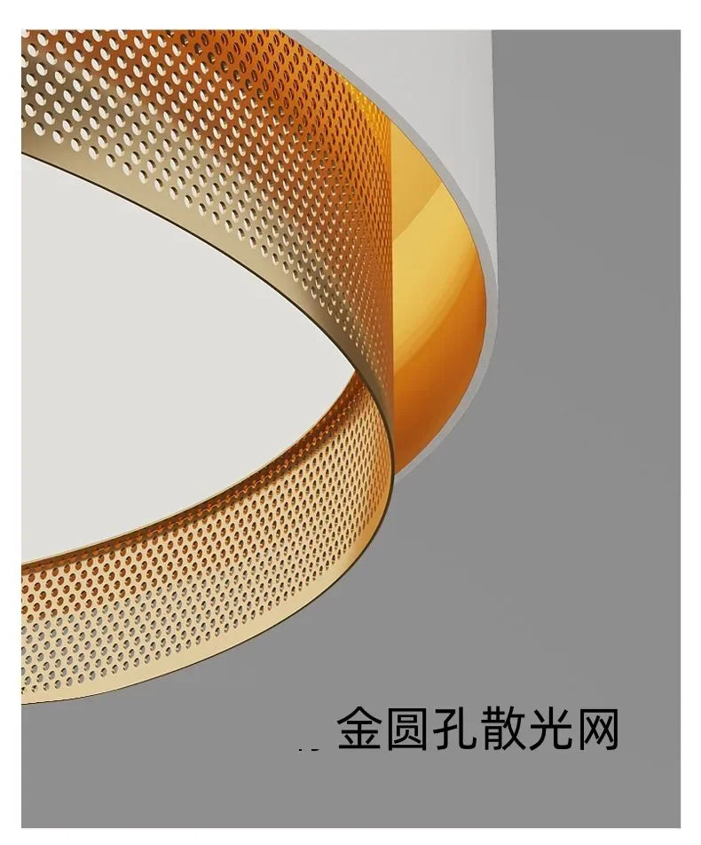 2025 New Nordic LED Ceiling Light Living Room Bedroom Black Metal Grid Ceiling Light Modern Creative Circular Room Lighting